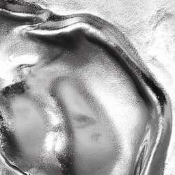 Black Friday Package ⚠️